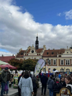 Činnost 2025
