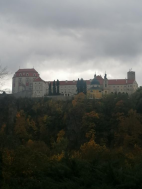 Činnost 2025