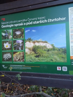 Činnost 2025