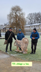 Silvestr 2024